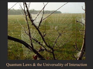 Quantum Laws & the Universality of Interaction 