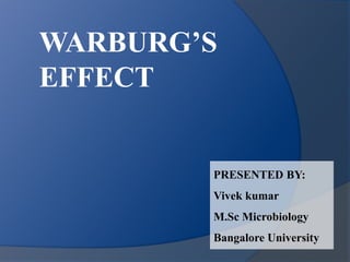 WARBURG’S
EFFECT
PRESENTED BY:
Vivek kumar
M.Sc Microbiology
Bangalore University
 