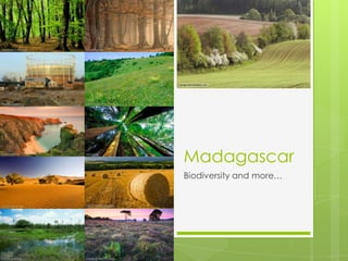 Madagascar
Biodiversity and more…
 