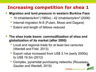THINKING beyond the canopy
Increasing competition for shea 1
 Migration and land pressure in western Burkina Faso
• 10 inhabitants/km2 (1960s) - 42 inhabitants/km2 (2006)
• Internal migration N-S (Fulani, Mossi and Dagara)
• Extent and length of fallows reduced
 The shea trade boom: commoditization of shea and
globalization of its market (after 2000)
• Local and regional trade for at least two centuries
(Wardell and Fold, 2013)
• Export value increased from US$ 3.1m (early 2000s)
to US$ 19.3m (2012)
• Complex, pyramidal purchasing networks (Rousseau,
Gautier and Wardell, 2015)
 