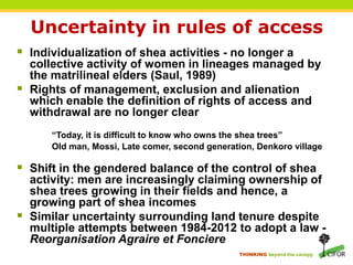 THINKING beyond the canopy
Uncertainty in rules of access
 Individualization of shea activities - no longer a
collective activity of women in lineages managed by
the matrilineal elders (Saul, 1989)
 Rights of management, exclusion and alienation
which enable the definition of rights of access and
withdrawal are no longer clear
“Today, it is difficult to know who owns the shea trees”
Old man, Mossi, Late comer, second generation, Denkoro village
 Shift in the gendered balance of the control of shea
activity: men are increasingly claiming ownership of
shea trees growing in their fields and hence, a
growing part of shea incomes
 Similar uncertainty surrounding land tenure despite
multiple attempts between 1984-2012 to adopt a law -
Reorganisation Agraire et Fonciere
 