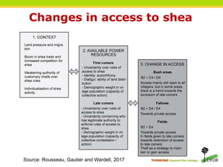 THINKING beyond the canopy
Changes in access to shea
Source: Rousseau, Gautier and Wardell, 2017
 