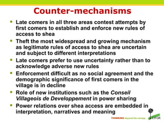 THINKING beyond the canopy
Counter-mechanisms
 Late comers in all three areas contest attempts by
first comers to establish and enforce new rules of
access to shea
 Theft the most widespread and growing mechanism
as legitimate rules of access to shea are uncertain
and subject to different interpretations
 Late comers prefer to use uncertainty rather than to
acknowledge adverse new rules
 Enforcement difficult as no social agreement and the
demographic significance of first comers in the
village is in decline
 Role of new institutions such as the Conseil
Villageois de Developpement in power sharing
 Power relations over shea access are embedded in
interpretation, narratives and meaning
 