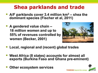 THINKING beyond the canopy
Shea parklands and trade
 A/F parklands cover 3.4 million km2 – shea the
dominant species (Fischer et al, 2011)
 A gendered value chain –
18 million women and up to
55% of revenues controlled by
women (Becker, 2001)
 Local, regional and (recent) global trades
 West Africa (8 states) accounts for almost all
exports (Burkina Faso and Ghana pre-eminent)
 Other ecosystem services
 