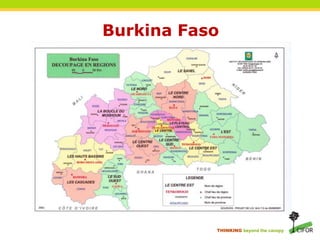 THINKING beyond the canopy
Burkina Faso
 