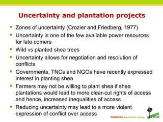 THINKING beyond the canopy
Uncertainty and plantation projects
 Zones of uncertainty (Crozier and Friedberg, 1977)
 Uncertainty is one of the few available power resources
for late comers
 Wild vs planted shea trees
 Uncertainty allows for negotiation and resolution of
conflicts
 Governments, TNCs and NGOs have recently expressed
interest in planting shea
 Farmers may not be willing to plant shea if shea
plantations would lead to more clear-cut rights of access
and hence, increased inequalities of access
 Reducing uncertainty may lead to a more violent
expression of conflict over access
 