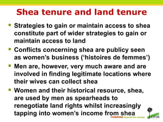 THINKING beyond the canopy
Shea tenure and land tenure
 Strategies to gain or maintain access to shea
constitute part of wider strategies to gain or
maintain access to land
 Conflicts concerning shea are publicy seen
as women’s business (‘histoires de femmes’)
 Men are, however, very much aware and are
involved in finding legitimate locations where
their wives can collect shea
 Women and their historical resource, shea,
are used by men as spearheads to
renegotiate land rights whilst increasingly
tapping into women’s income from shea
 