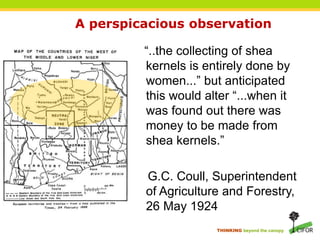 THINKING beyond the canopy
“..the collecting of shea
kernels is entirely done by
women...” but anticipated
this would alter “...when it
was found out there was
money to be made from
shea kernels.”
G.C. Coull, Superintendent
of Agriculture and Forestry,
26 May 1924
A perspicacious observation
 