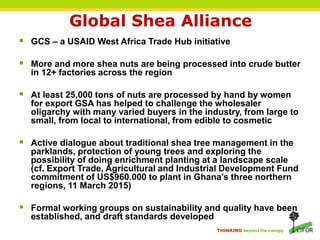 THINKING beyond the canopy
Global Shea Alliance
 GCS – a USAID West Africa Trade Hub initiative
 More and more shea nuts are being processed into crude butter
in 12+ factories across the region
 At least 25,000 tons of nuts are processed by hand by women
for export GSA has helped to challenge the wholesaler
oligarchy with many varied buyers in the industry, from large to
small, from local to international, from edible to cosmetic
 Active dialogue about traditional shea tree management in the
parklands, protection of young trees and exploring the
possibility of doing enrichment planting at a landscape scale
(cf. Export Trade, Agricultural and Industrial Development Fund
commitment of US$960.000 to plant in Ghana’s three northern
regions, 11 March 2015)
 Formal working groups on sustainability and quality have been
established, and draft standards developed
 