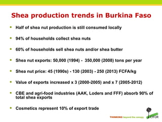THINKING beyond the canopy
Shea production trends in Burkina Faso
 Half of shea nut production is still consumed locally
 94% of households collect shea nuts
 60% of households sell shea nuts and/or shea butter
 Shea nut exports: 50,000 (1994) - 350,000 (2008) tons per year
 Shea nut price: 45 (1990s) - 130 (2003) - 250 (2013) FCFA/kg
 Value of exports increased x 3 (2000-2005) and x 7 (2005-2012)
 CBE and agri-food industries (AAK, Loders and FFF) absorb 90% of
total shea exports
 Cosmetics represent 10% of export trade
 