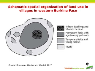 THINKING beyond the canopy
Schematic spatial organization of land use in
villages in western Burkina Faso
Source: Rousseau, Gautier and Wardell, 2017
 