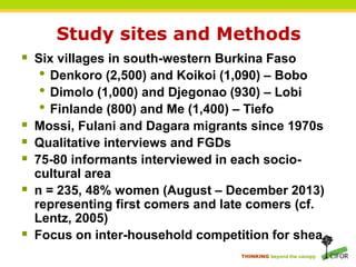 THINKING beyond the canopy
Study sites and Methods
 Six villages in south-western Burkina Faso
• Denkoro (2,500) and Koikoi (1,090) – Bobo
• Dimolo (1,000) and Djegonao (930) – Lobi
• Finlande (800) and Me (1,400) – Tiefo
 Mossi, Fulani and Dagara migrants since 1970s
 Qualitative interviews and FGDs
 75-80 informants interviewed in each socio-
cultural area
 n = 235, 48% women (August – December 2013)
representing first comers and late comers (cf.
Lentz, 2005)
 Focus on inter-household competition for shea
 