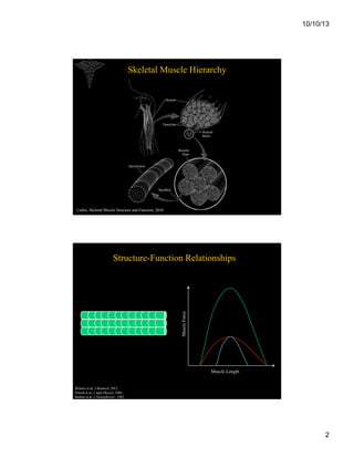 10/10/13

Skeletal Muscle Hierarchy

Lieber, Skeletal Muscle Structure and Function, 2010

Muscle Force

Structure-Function Relationships

Muscle Length

Winters et al, J Biomech, 2012
Powell et al, J Appl Physiol, 1984
Bodine et al, J Neurophysiol , 1982

2

 
