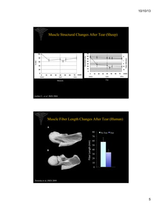10/10/13

Muscle Structural Changes After Tear (Sheep)

Fat

Muscle

Gerber C, et al JBJS 2004

Muscle Fiber Length Changes After Tear (Human)

80

No Tear

Tear

Fiber Length (mm)

70
60
50
40
30
20
10
0
1

Tomioka et al, JSES 2009	


5

 