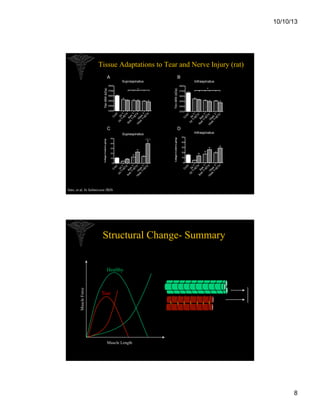 10/10/13

Tissue Adaptations to Tear and Nerve Injury (rat)

Sato, et al, In Submission JBJS

Structural Change- Summary

Muscle Force

Healthy

Tear

Muscle Length

8

 
