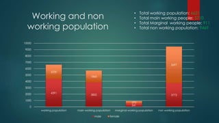 Working and non
working population
4391
3850
541
3772
2230
1860
370
5697
0
1000
2000
3000
4000
5000
6000
7000
8000
9000
10000
working population main working population marginal working population non working population
male female
• Total working population: 6621
• Total main working people: 5710
• Total Marginal working people: 911
• Total non working population: 9469
 