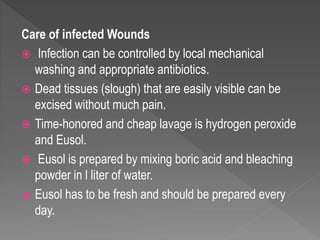 Care of infected Wounds
 Infection can be controlled by local mechanical
washing and appropriate antibiotics.
 Dead tissues (slough) that are easily visible can be
excised without much pain.
 Time-honored and cheap lavage is hydrogen peroxide
and Eusol.
 Eusol is prepared by mixing boric acid and bleaching
powder in l liter of water.
 Eusol has to be fresh and should be prepared every
day.
 