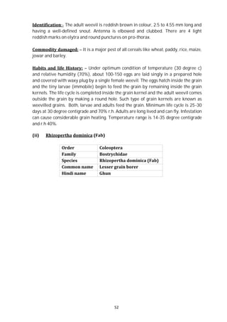 52
Identification:- The adult weevil is reddish brown in colour, 2.5 to 4.55 mm long and
having a well-defined snout. Antenna is elbowed and clubbed. There are 4 light
reddish marks on elytra and round punctures on pro-thorax.
Commodity damaged: – It is a major pest of all cereals like wheat, paddy, rice, maize,
jowar and barley.
Habits and life History: – Under optimum condition of temperature (30 degree c)
and relative humidity (70%), about 100-150 eggs are laid singly in a prepared hole
and covered with waxy plug by a single female weevil. The eggs hatch inside the grain
and the tiny larvae (immobile) begin to feed the grain by remaining inside the grain
kernels. The life cycle is completed inside the grain kernel and the adult weevil comes
outside the grain by making a round hole. Such type of grain kernels are known as
weevilled grains. Both, larvae and adults feed the grain. Minimum life cycle is 25-30
days at 30 degree centigrade and 70% r.h. Adults are long lived and can fly. Infestation
can cause considerable grain heating. Temperature range is 14-35 degree centigrade
and r.h 40%.
(ii) Rhizopertha dominica (Fab)
Order Coleoptera
Family Bostrychidae
Species Rhizopertha dominica (Fab)
Common name Lesser grain borer
Hindi name Ghun
 