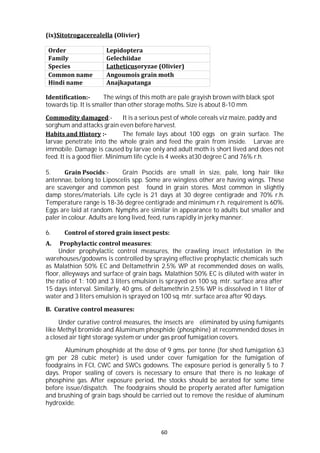60
(ix)Sitotrogacerealella (Olivier)
Order Lepidoptera
Family Gelechiidae
Species Latheticusoryzae (Olivier)
Common name Angoumois grain moth
Hindi name Anajkapatanga
Identification:- The wings of this moth are pale grayish brown with black spot
towards tip. It is smaller than other storage moths. Size is about 8-10 mm.
Commodity damaged:- It is a serious pest of whole cereals viz maize, paddy and
sorghum and attacks grain even before harvest.
Habits and History :- The female lays about 100 eggs on grain surface. The
larvae penetrate into the whole grain and feed the grain from inside. Larvae are
immobile. Damage is caused by larvae only and adult moth is short lived and does not
feed. It is a good flier. Minimum life cycle is 4 weeks at30 degree C and 76% r.h.
5. Grain Psocids:- Grain Psocids are small in size, pale, long hair like
antennae, belong to Liposcelis spp. Some are wingless other are having wings. These
are scavenger and common pest found in grain stores. Most common in slightly
damp stores/materials. Life cycle is 21 days at 30 degree centigrade and 70% r.h.
Temperature range is 18-36 degree centigrade and minimum r.h. requirement is 60%.
Eggs are laid at random. Nymphs are similar in appearance to adults but smaller and
paler in colour. Adults are long lived, feed, runs rapidly in jerky manner.
6. Control of stored grain insect pests:
A. Prophylactic control measures:
Under prophylactic control measures, the crawling insect infestation in the
warehouses/godowns is controlled by spraying effective prophylactic chemicals such
as Malathion 50% EC and Deltamethrin 2.5% WP at recommended doses on walls,
floor, alleyways and surface of grain bags. Malathion 50% EC is diluted with water in
the ratio of 1: 100 and 3 liters emulsion is sprayed on 100 sq. mtr. surface area after
15 days interval. Similarly, 40 gms. of deltamethrin 2.5% WP is dissolved in 1 liter of
water and 3 liters emulsion is sprayed on 100 sq. mtr. surface area after 90 days.
B. Curative control measures:
Under curative control measures, the insects are eliminated by using fumigants
like Methyl bromide and Aluminum phosphide (phosphine) at recommended doses in
a closed air tight storage system or under gas proof fumigation covers.
Aluminum phosphide at the dose of 9 gms. per tonne (for shed fumigation 63
gm per 28 cubic meter) is used under cover fumigation for the fumigation of
foodgrains in FCI, CWC and SWCs godowns. The exposure period is generally 5 to 7
days. Proper sealing of covers is necessary to ensure that there is no leakage of
phosphine gas. After exposure period, the stocks should be aerated for some time
before issue/dispatch. The foodgrains should be properly aerated after fumigation
and brushing of grain bags should be carried out to remove the residue of aluminum
hydroxide.
 