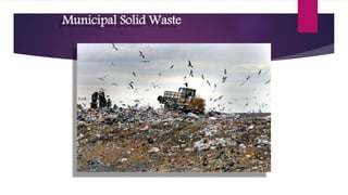 Municipal Solid Waste
 