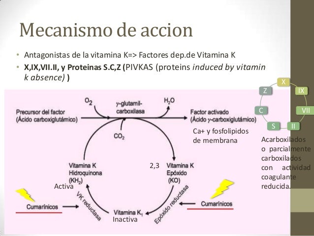 Factor de similitud Factor de similitud