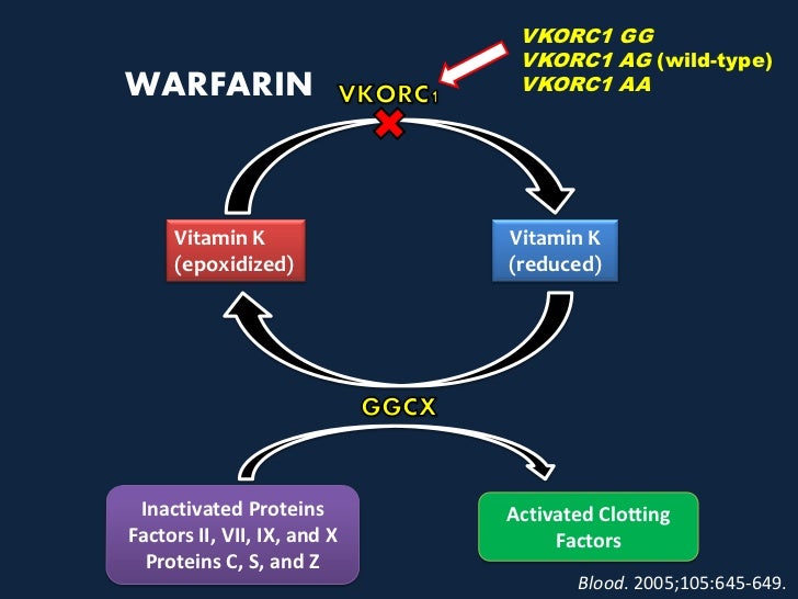 and Warfarin