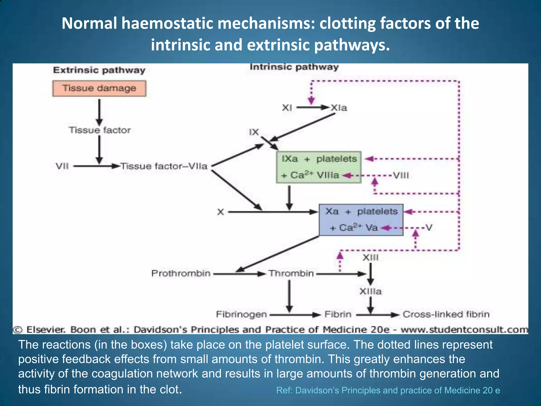 Normal haemostatic mechanisms: clotting factors of the
                   intrinsic and extrinsic pathways.




The reactions (in the boxes) take place on the platelet surface. The dotted lines represent
positive feedback effects from small amounts of thrombin. This greatly enhances the
activity of the coagulation network and results in large amounts of thrombin generation and
thus fibrin formation in the clot.                 Ref: Davidson’s Principles and practice of Medicine 20 e
 