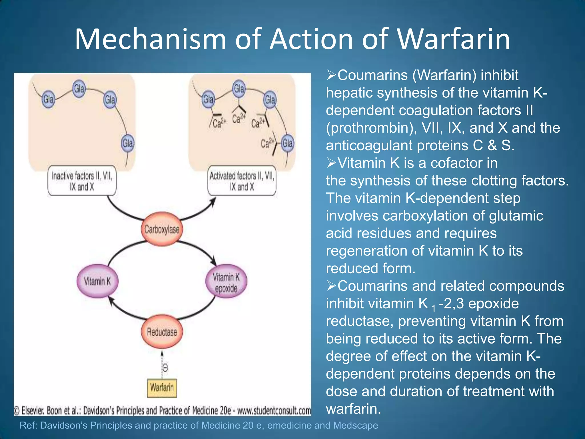 Mechanism of Action of Warfarin
                                                                    Coumarins (Warfarin) inhibit
                                                                    hepatic synthesis of the vitamin K-
                                                                    dependent coagulation factors II
                                                                    (prothrombin), VII, IX, and X and the
                                                                    anticoagulant proteins C & S.
                                                                    Vitamin K is a cofactor in
                                                                    the synthesis of these clotting factors.
                                                                    The vitamin K-dependent step
                                                                    involves carboxylation of glutamic
                                                                    acid residues and requires
                                                                    regeneration of vitamin K to its
                                                                    reduced form.
                                                                    Coumarins and related compounds
                                                                    inhibit vitamin K 1 -2,3 epoxide
                                                                    reductase, preventing vitamin K from
                                                                    being reduced to its active form. The
                                                                    degree of effect on the vitamin K-
                                                                    dependent proteins depends on the
                                                                    dose and duration of treatment with
                                                                    warfarin.
Ref: Davidson’s Principles and practice of Medicine 20 e, emedicine and Medscape
 