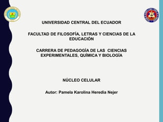 UNIVERSIDAD CENTRAL DEL ECUADOR
FACULTAD DE FILOSOFÍA, LETRAS Y CIENCIAS DE LA
EDUCACIÓN
CARRERA DE PEDAGOGÍA DE LAS CIENCIAS
EXPERIMENTALES, QUÍMICA Y BIOLOGÍA
NÚCLEO CELULAR
Autor: Pamela Karolina Heredia Nejer
 