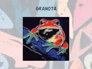 Granota
 