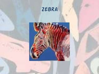 Zebra
 