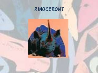 Rinoceront
 