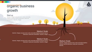 w w w . D o m a i n . c o m Page 106
www.MainSlide.com
© All Rights Reserved.
Confidential
organic business
growth
ABOUT OUR COMPANY
v
Medium Scale
lobortis. Integer posuere erat a ante venenatis dapibus Aenean lacinia
bibendum nulla sed consectetur. lobortis. Integer
Medium Scale
lobortis. Integer posuere erat a ante venenatis dapibus Aenean lacinia
bibendum nulla sed consectetur. lobortis. Integer
Medium Scale
lobortis. Integer posuere erat a ante venenatis dapibus
Aenean lacinia bibendum nulla sed consectetur.
lobortis.
Start up
lobortis. Integer posuere erat a ante venenatis
dapibus Aenean lacinia bibendum nulla sed
consectetur. lobortis. Integer
 