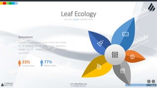 w w w . D o m a i n . c o m Page 60
www.MainSlide.com
© All Rights Reserved.
Confidential
put your great subtitle here
Leaf Ecology
Ecosystem
For every 6 emails received, we get 3 Phone calls. Suitable
for all categories business and personal presentation,
Suitable for all categories business and personal
presentation
23%
Female Users
77%
Male Users
 