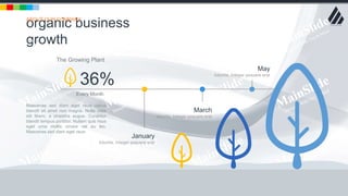 w w w . D o m a i n . c o m Page 92
www.MainSlide.com
© All Rights Reserved.
Confidential
36%
Every Month
January
lobortis. Integer posuere erat
March
lobortis. Integer posuere erat
May
lobortis. Integer posuere erat
Maecenas sed diam eget risus varius
blandit sit amet non magna. Nulla vitae
elit libero, a pharetra augue. Curabitur
blandit tempus porttitor. Nullam quis risus
eget urna mollis ornare vel eu leo.
Maecenas sed diam eget risus
The Growing Plant
organic business
growth
ABOUT OUR COMPANY
 