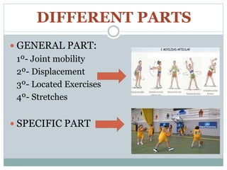 DIFFERENT PARTS
 GENERAL PART:
1º- Joint mobility
2º- Displacement
3º- Located Exercises
4º- Stretches
 SPECIFIC PART
 