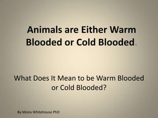 Animals are Either Warm
    Blooded or Cold Blooded.


What Does It Mean to be Warm Blooded
          or Cold Blooded?

By Moira Whitehouse PhD
 