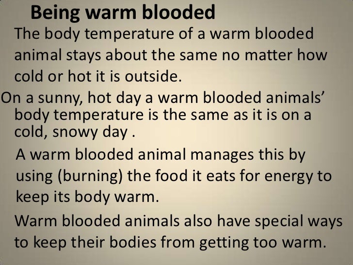 warm blooded animals