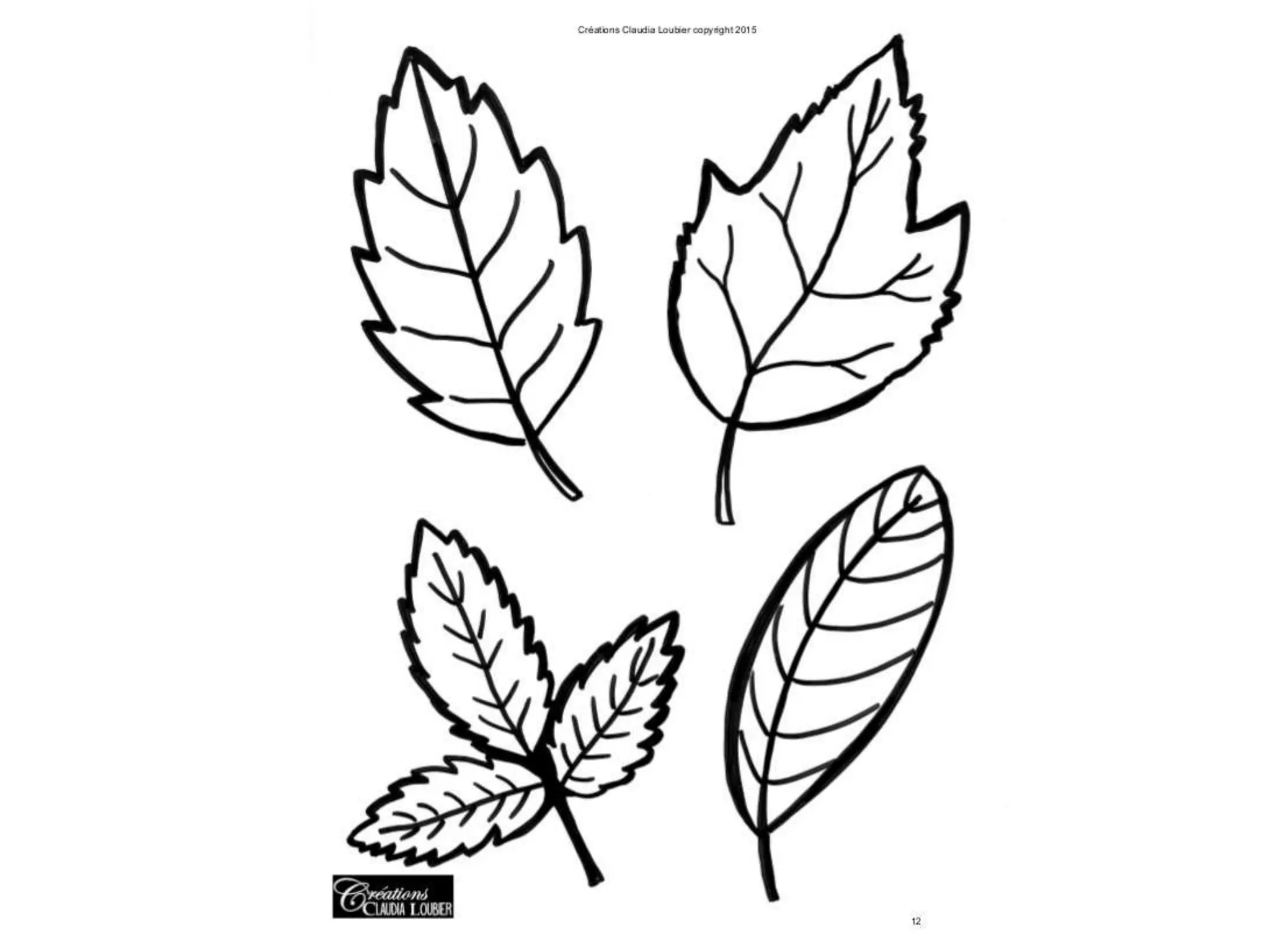 Warm and cool color leaves