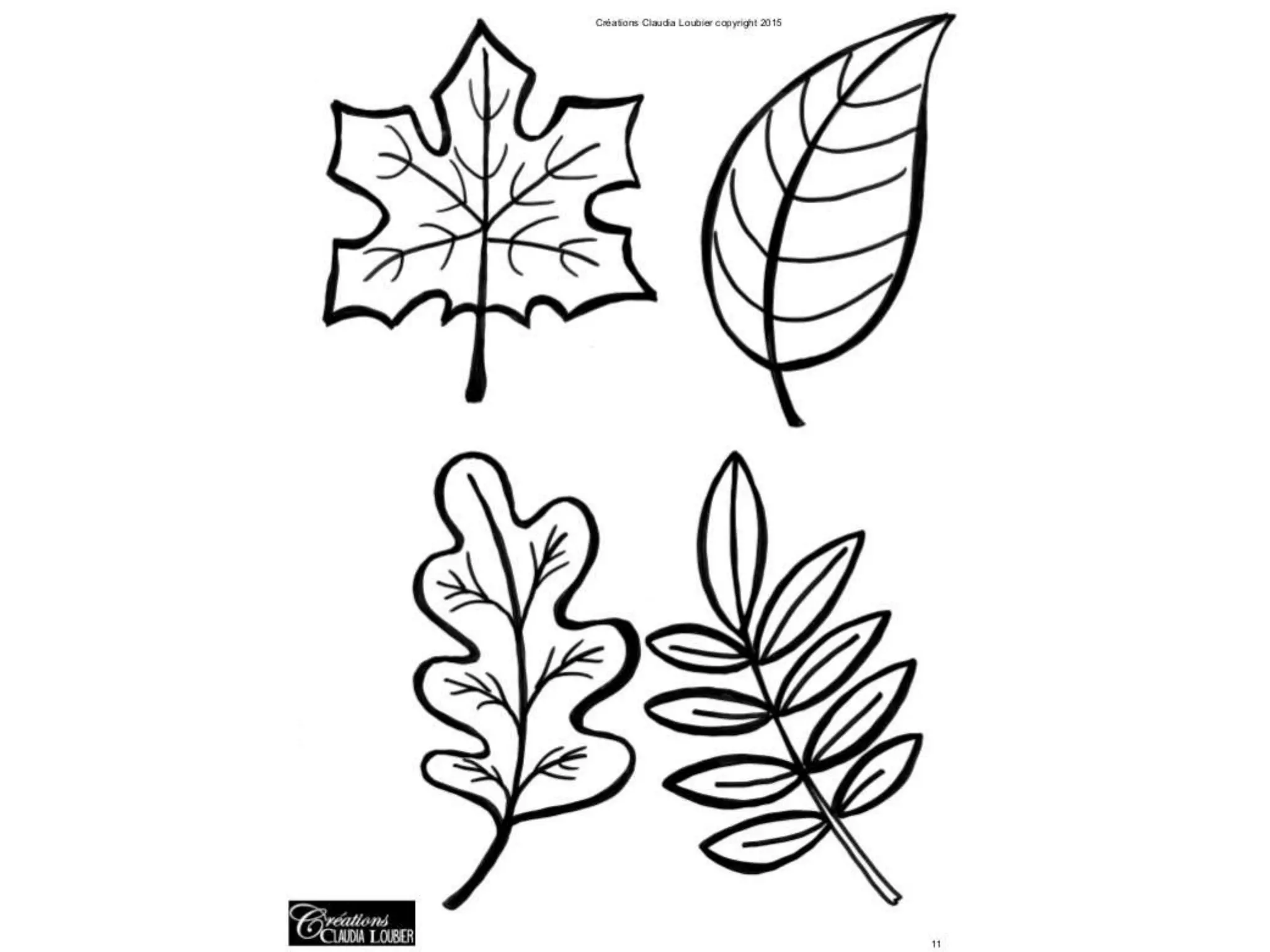 Warm and cool color leaves