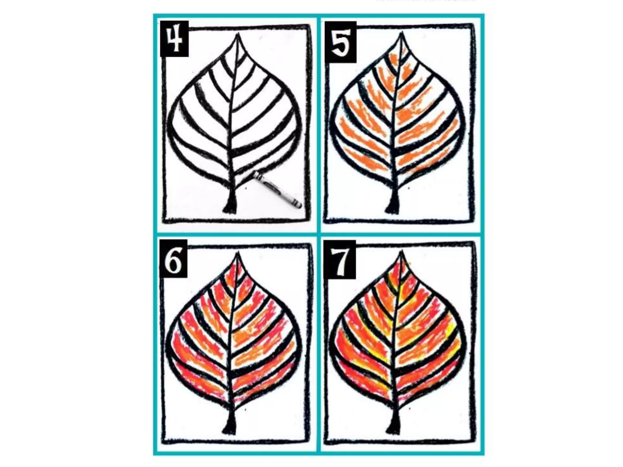 Warm and cool color leaves