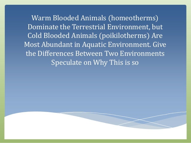Warm Blooded Animals Homeotherms Dominate The Terrestrial Environme