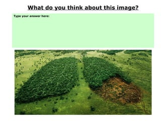 What do you think about this image?
Type your answer here:
 