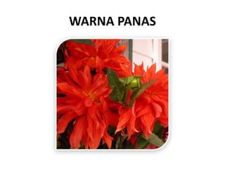 WARNA PANAS
 