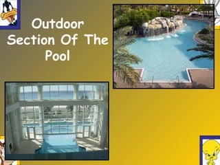 Outdoor
Section Of The
Pool
 