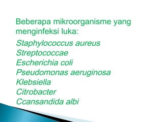 Beberapa mikroorganisme yang
menginfeksi luka:
Staphylococcus aureus
Streptococcae
Escherichia coli
Pseudomonas aeruginosa
Klebsiella
Citrobacter
Ccansandida albi
 
