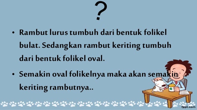 Tau Gak sih Kenapa Warna Rambut  Berbeda