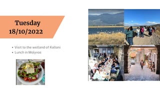 Visit to the wetland of Kalloni
Lunch in Molyvos
Tuesday
18/10/2022
 