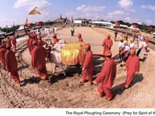 The Royal Ploughing Ceremony (Prey for Spirit of th
 