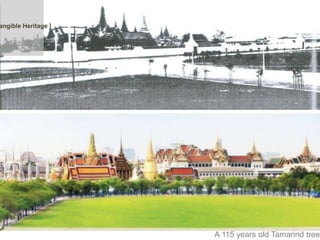 A 115 years old Tamarind tree
angible Heritage ]
 